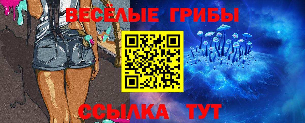 Нальчик  Псилоцибиновые грибы прущие грибы  Вход с VPN  наркотики  Галлюциногенные грибы прущие грибы 